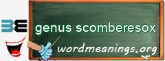 WordMeaning blackboard for genus scomberesox